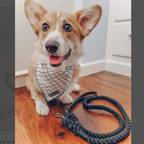 PETsRUS 5ft Leather Dog Leash Braided Cotton Rope Durable Handcrafted Hand Dye - Picture 3 of 4